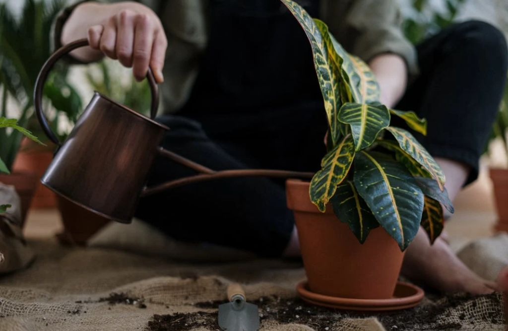 The Top Gardening Tools for Every Homeowner in 2026